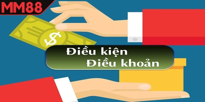 điều khoản điều kiện